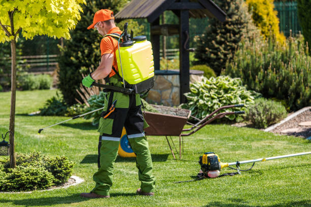 Lawn Pest Control in Hideout, UT